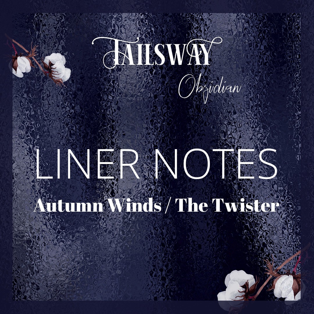 Here is some interesting information about the tracks on our debut album Obsidian.
1. Autumn Winds / The Twister
This set of tunes was the first that we composed together in 2014. It was also the first set that we recorded and arranged, and it set the tone for the whole album. It started off with only fiddle, bouzouki and bass guitar. Then Pernilla got the idea of adding some Indian bells to it and that opened up the possibilities in our heads of making bigger arrangements and adding more instruments to all our tracks.
Link to our album in bio.